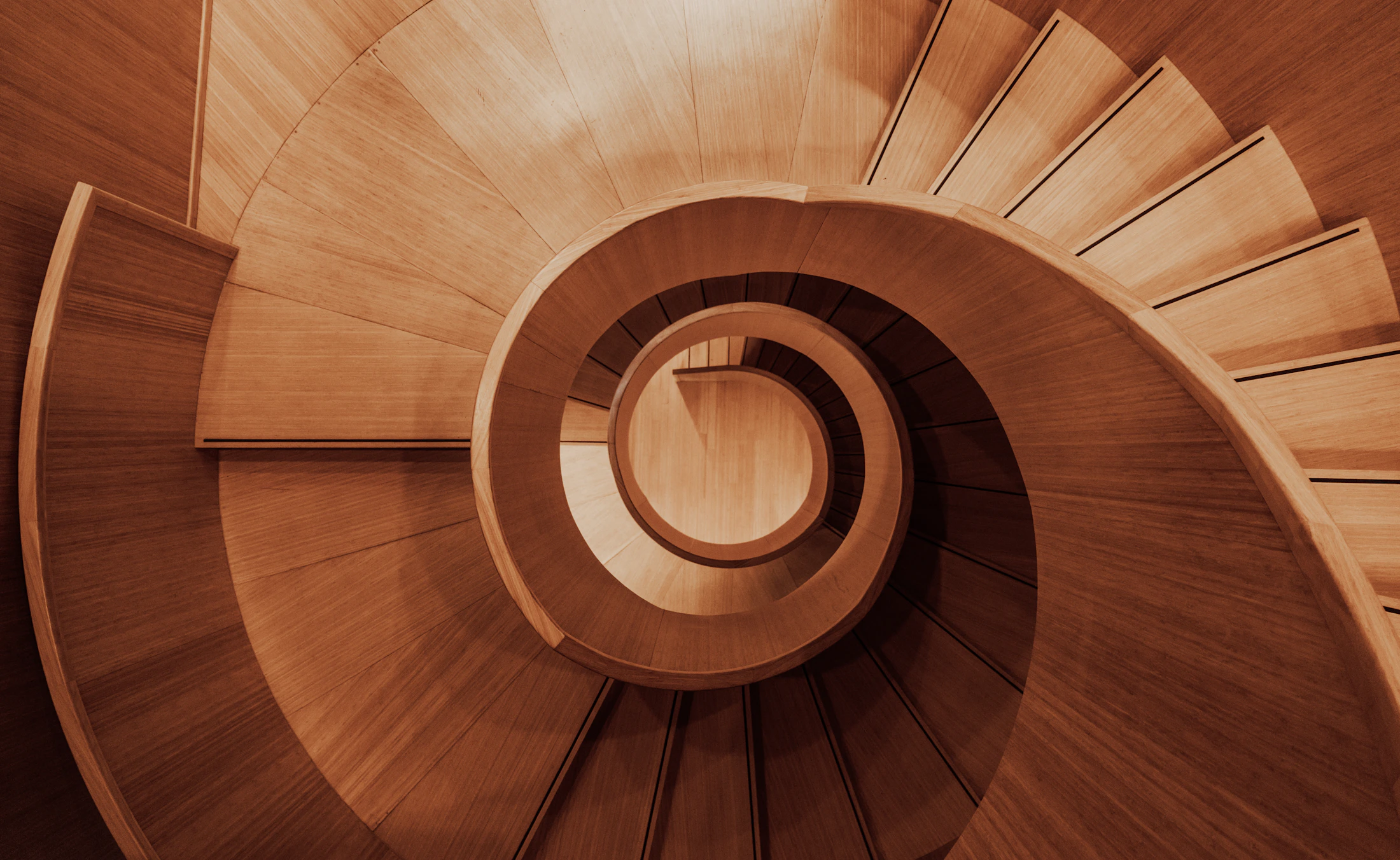 Warm timber spiral staircase, seen from above, with rhythmic curved balustrades